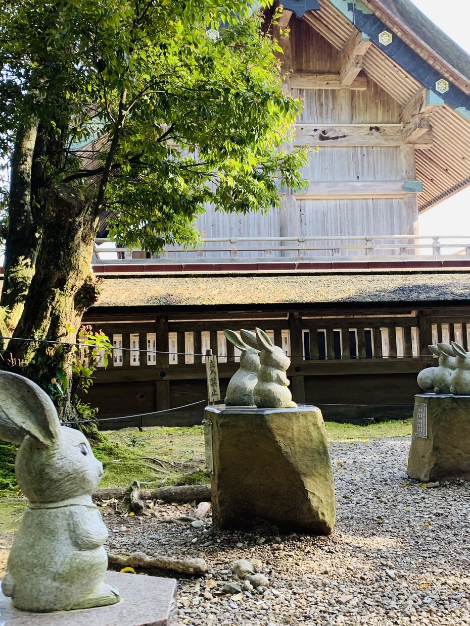 霊感霊視でお二人のご縁を観ます 霊感霊視で占います。復縁・複雑愛・恋愛【恋愛特化】偏見なし イメージ7