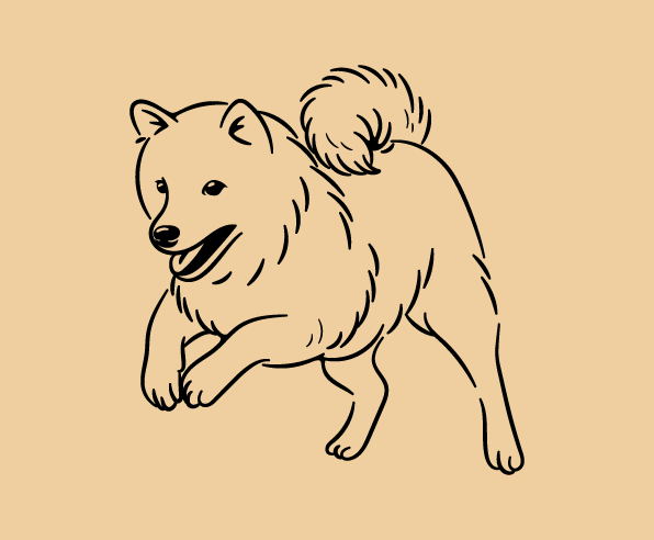 わんちゃん限定！愛犬を可愛いゆるい線画で描きます あなただけのシンプルで可愛い、ほっこり癒される線画イラスト✨ イメージ4