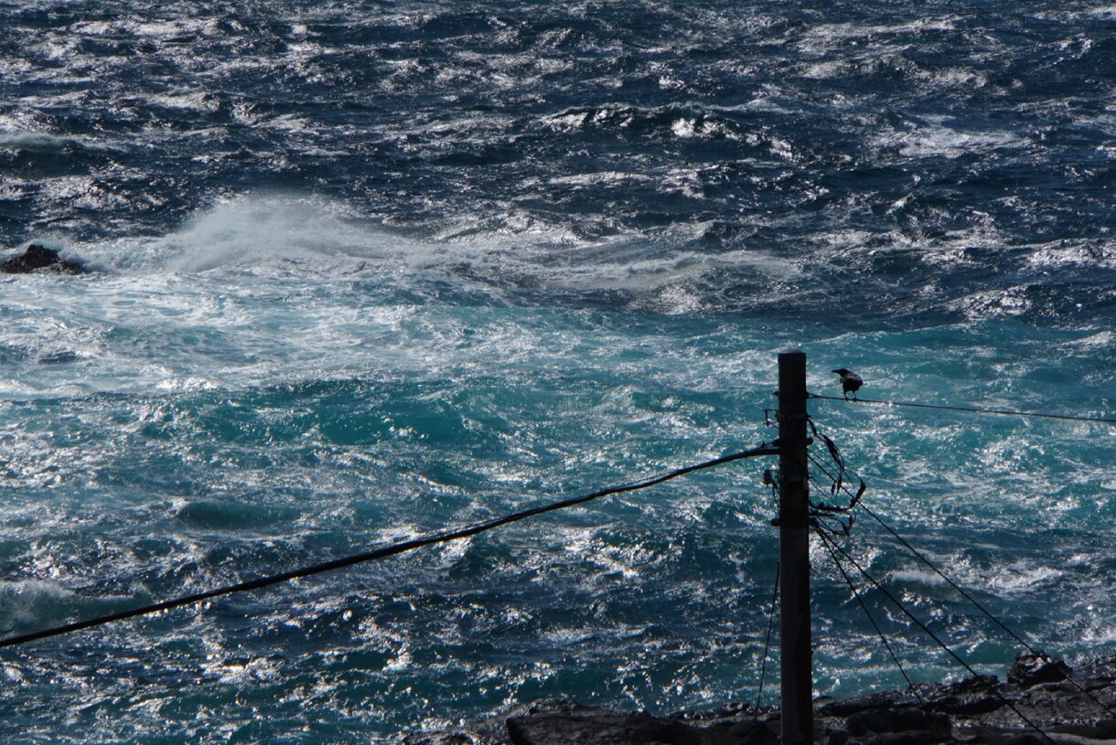 出張撮影・撮影代行・レタッチ代行を行います 写真は撮りたいけど上手く撮る自信がないなどはありませんか？ イメージ3