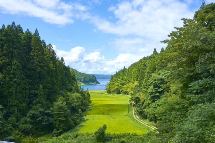 自信を失ったあなたの自信を、強制的に取り戻します 挫折や壁にぶちあったって困っている方の強制的に自信を回復する イメージ1