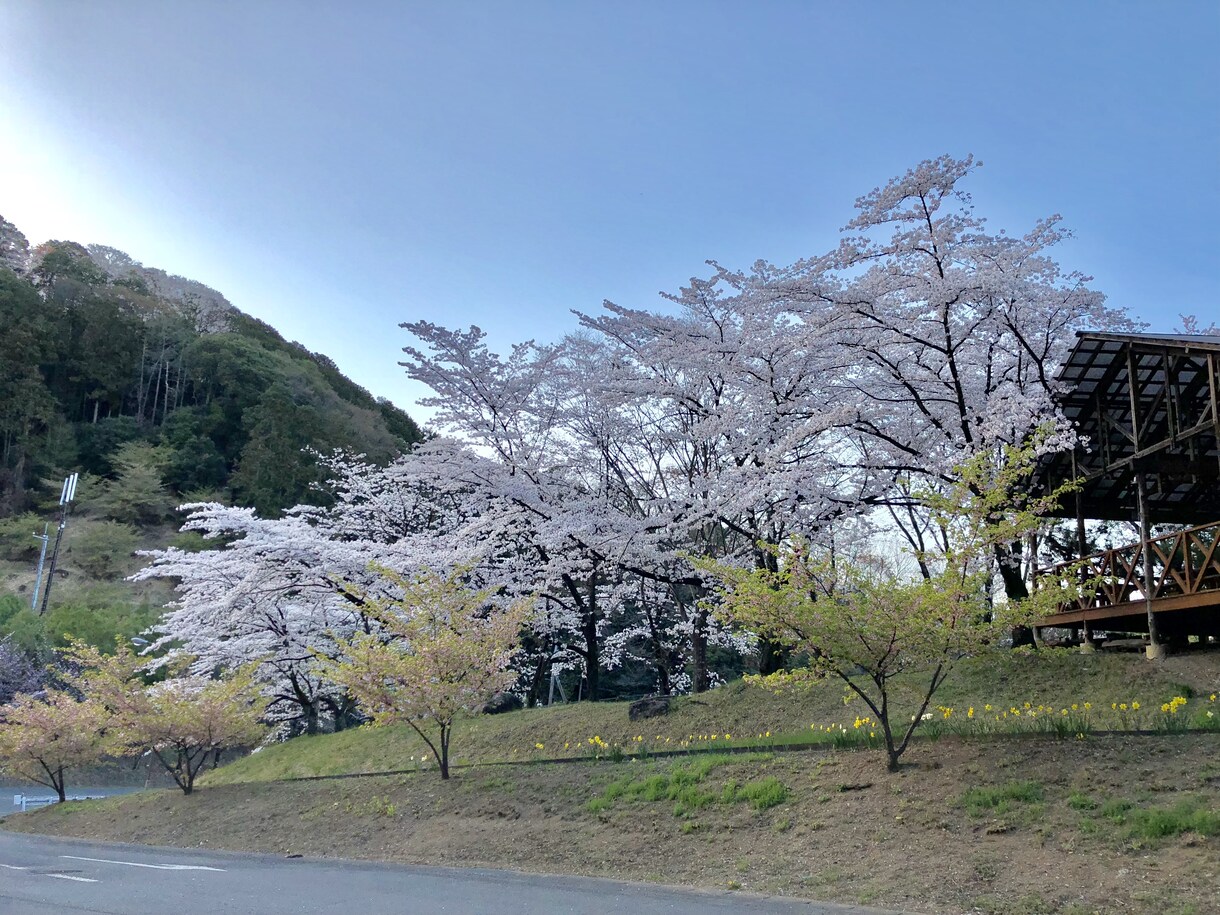 お悩み解決に向けてご相談にのります 問題に悩み苦しんでいる方から愚痴を聞いて欲しい方 イメージ1