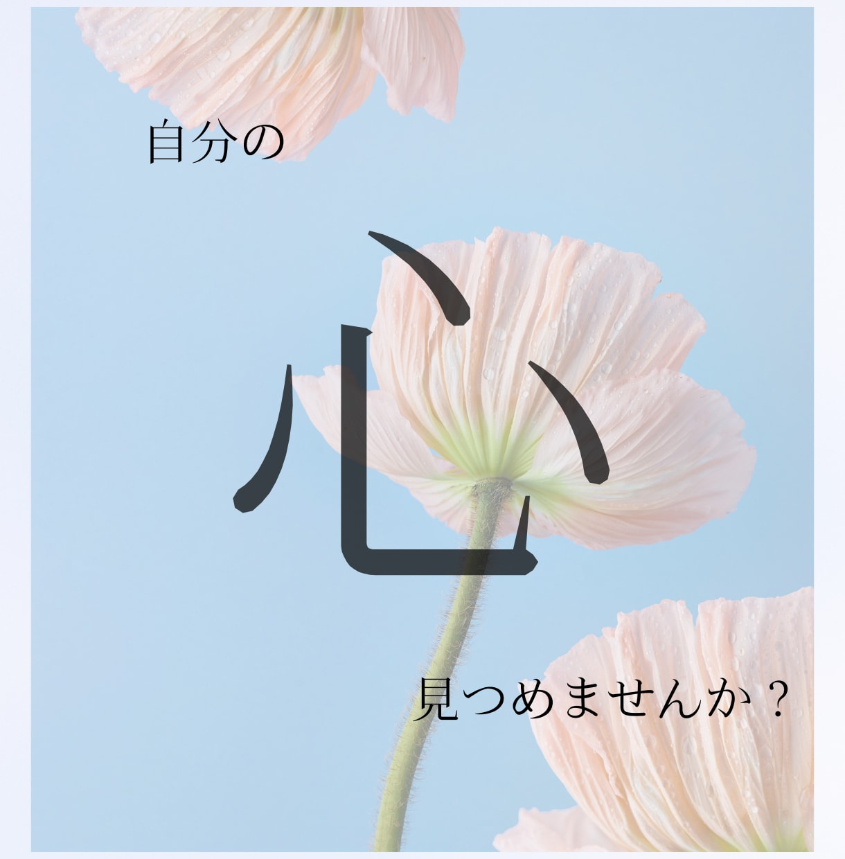 チャクラ×タロットで巡る、本当の自分を探します 滞りを解放し、本来のあなたを取り戻す イメージ2