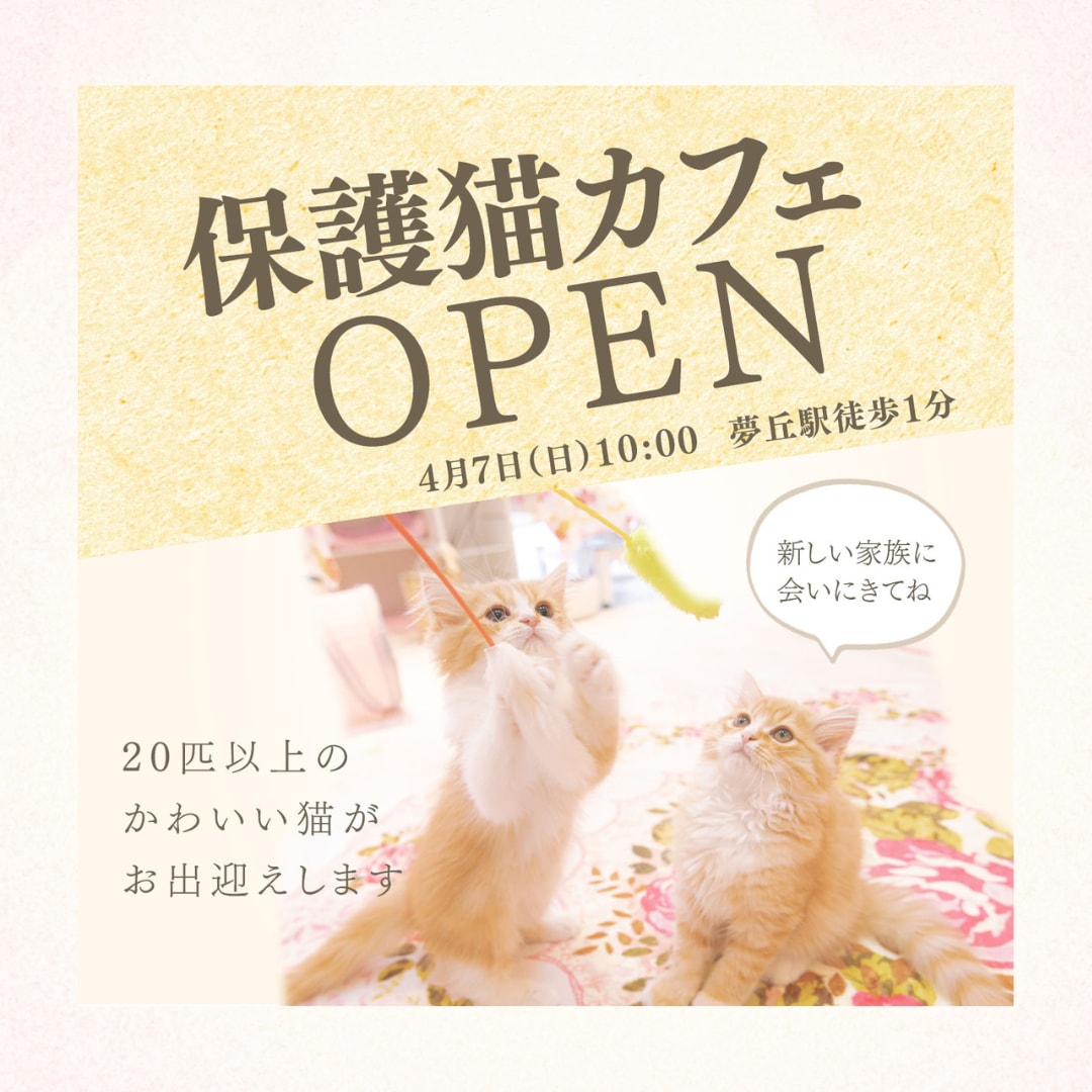目を惹く出品画像作ります あたたの出品画像をプロに任せてみませんか？ イメージ2