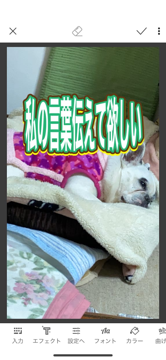 虹の橋からのペットの言葉教えます 家族だった大切なペット、虹の橋からのメッセージです！ イメージ3