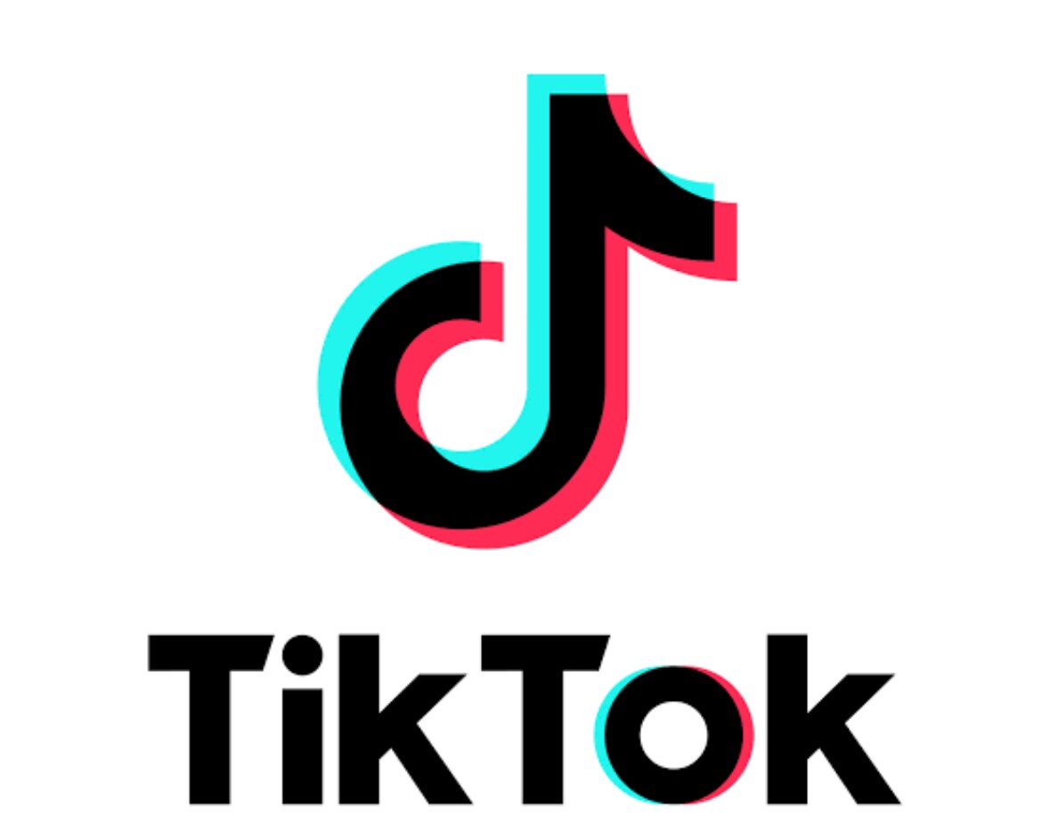TikTokのフォロワーを500人増やします 10日でTikTokのフォロワーを500人増やします。 イメージ1