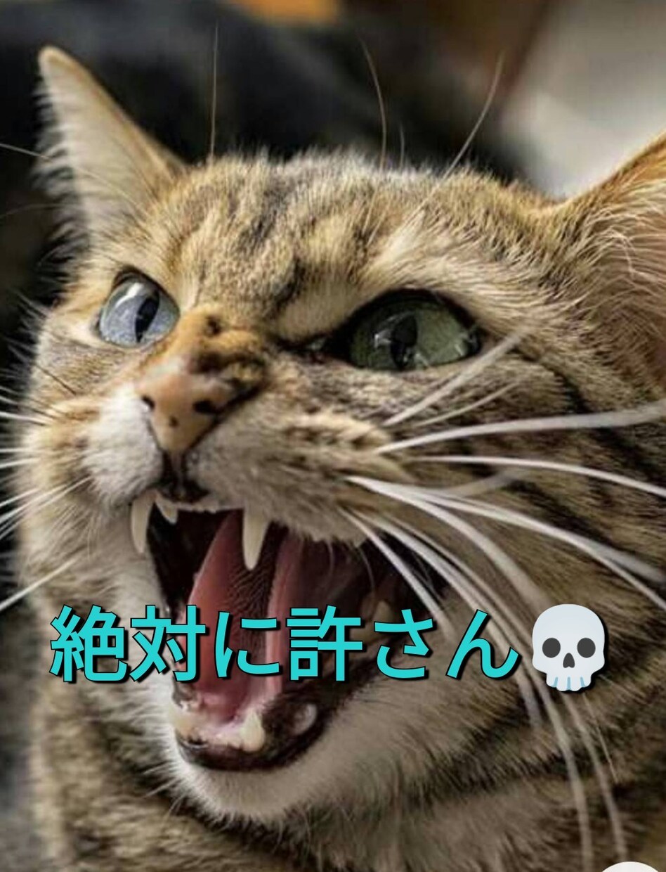 絶対に許せない！！スッキリするまでお話聴きます 何で私ばっかりこんな目に遭うの？！最悪な出来事教えてください イメージ1