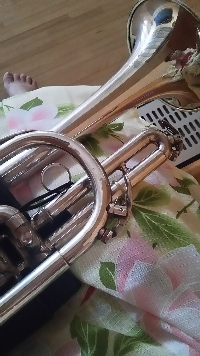 簡単な音楽基礎について教えます 趣味で音楽を初めてみたい方、音楽の基礎について イメージ1