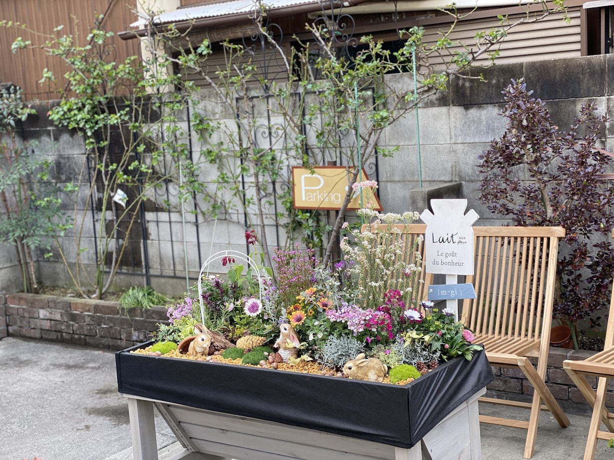 観葉植物、花壇のお花や植栽のアドバイスします 困ったことや映像からわかることをアドバイスとしてお伝えします イメージ1