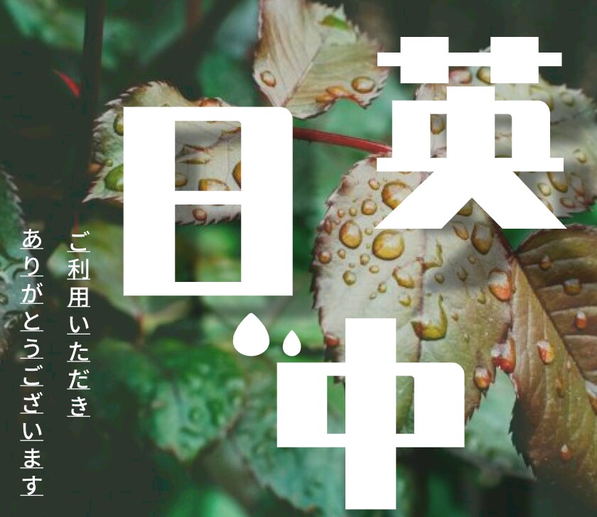 日中英　翻訳いたします １文字1円から！　TOEFL107の中国人 イメージ1