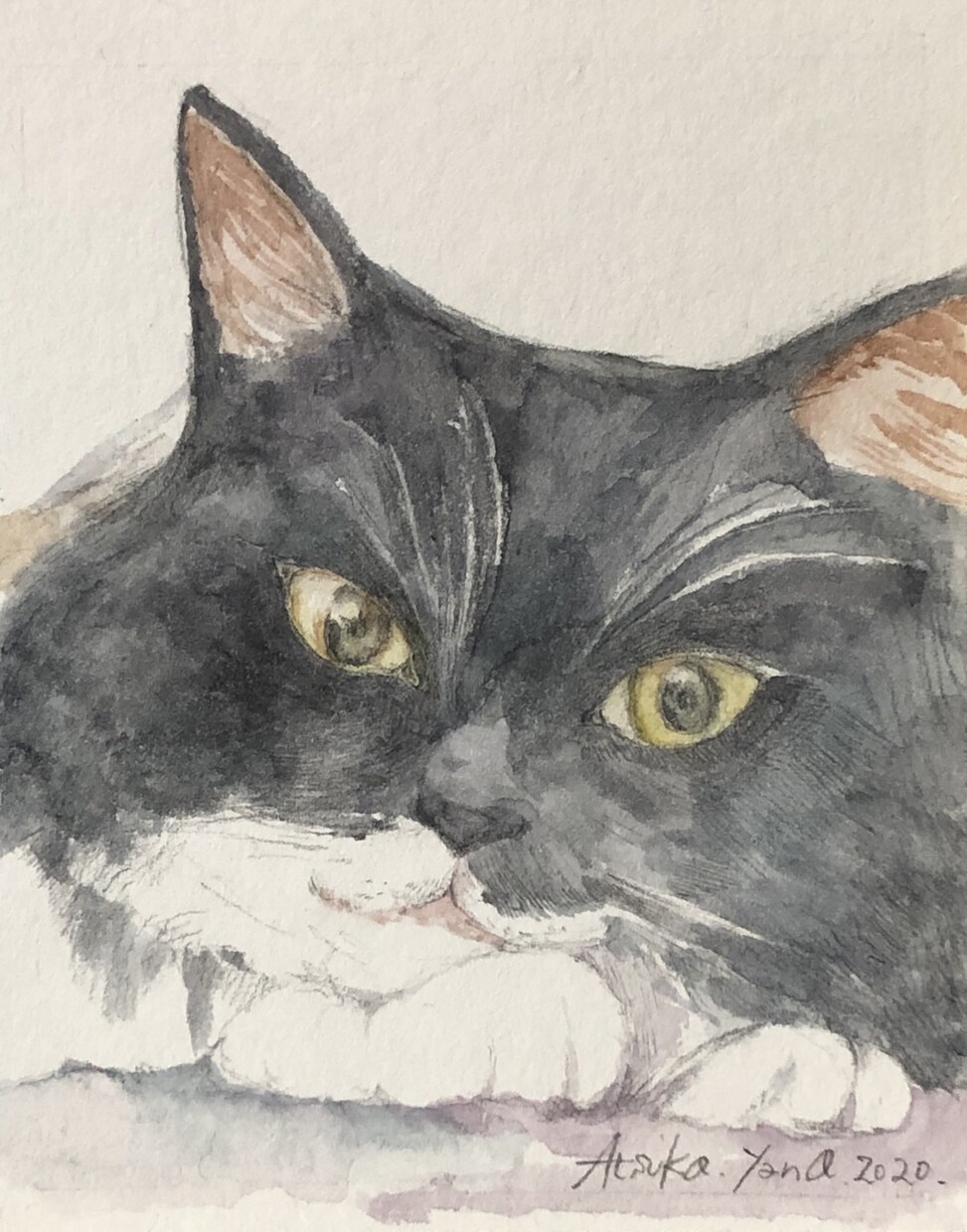 お子さんやペットの似顔絵承ります✨✨ます 淡い水彩にて似顔絵作成致します。 イメージ3