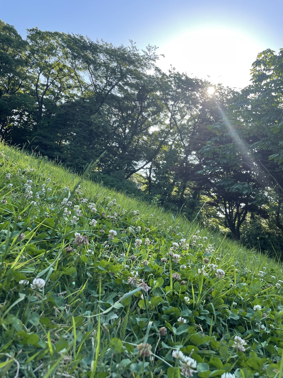 5分でもOK！元CAがほっこりタイムお届けします いつでもどんなお話も大歓迎♡ご満足いくまでお聞きします♩ イメージ1
