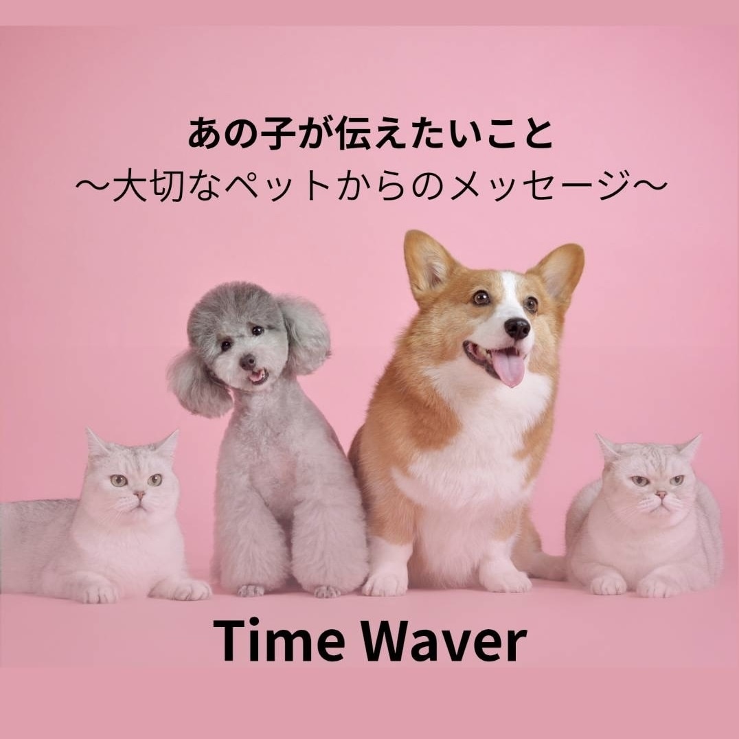 タイムウェーバーで動物の伝えたいこと分析ます タイムウェーバーで大切なペット・亡きペットの伝えたいこと イメージ1