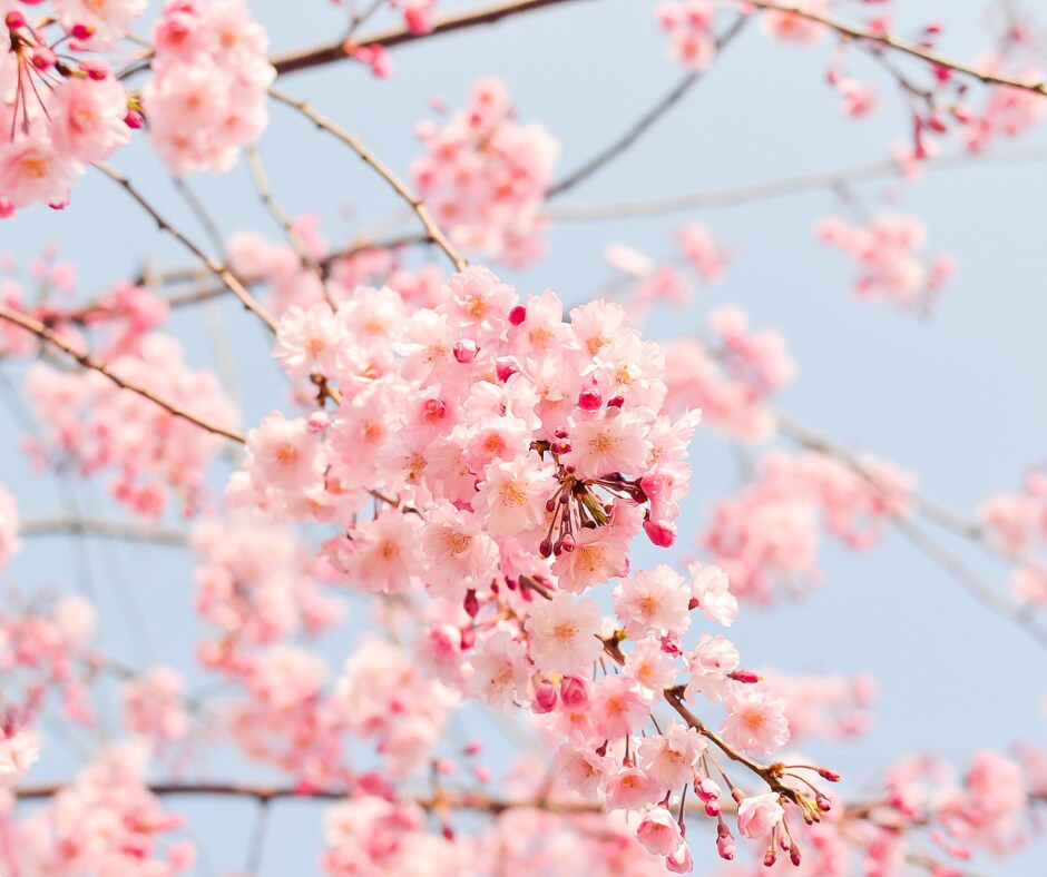 不安や考えすぎでしんどい時、お話聞きます 強迫性障害でつらい気持ちを抱えているあなたへ✨ イメージ2