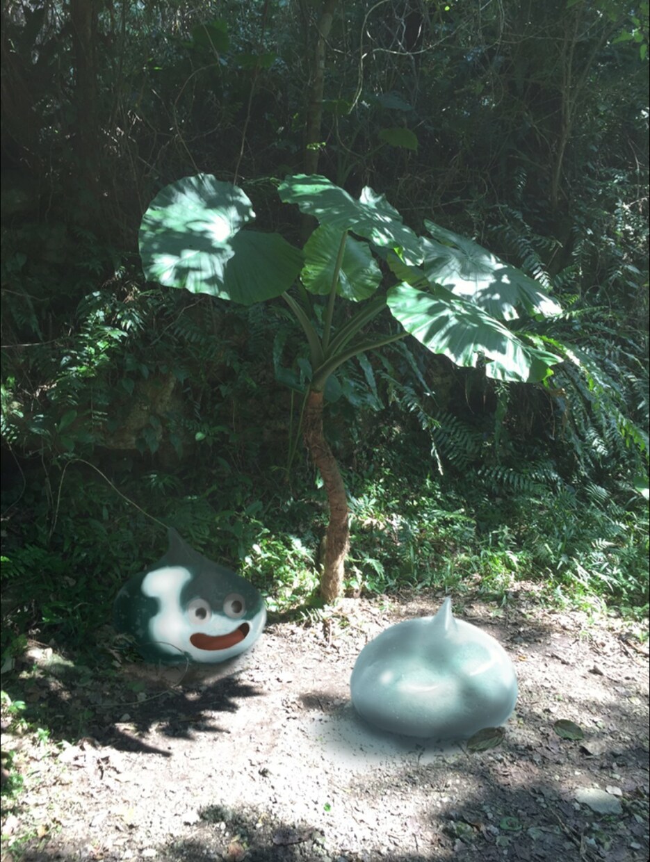 ファンタジーの世界で写真を撮ります あなたの横にモンスターやエフェクトが！？ イメージ2
