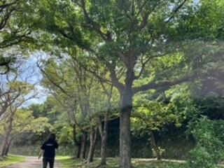 職場の悩み子育ての悩みなどその他相談致します 健康は笑顔からSmile for you イメージ1