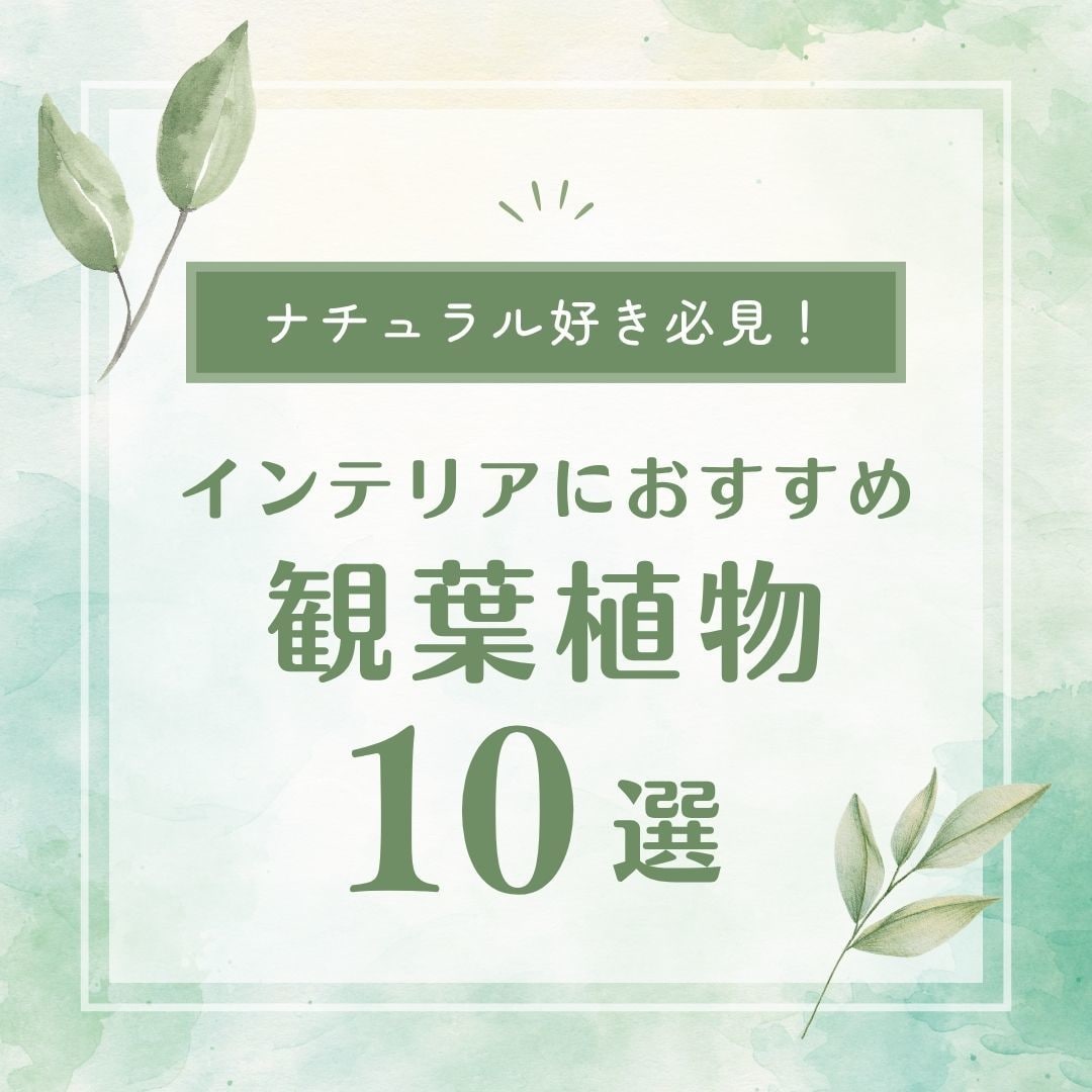 実績600超☆丸投げインスタグラム運用代行します コスト重視で安くInstagramの運用をして欲しい方！ イメージ2