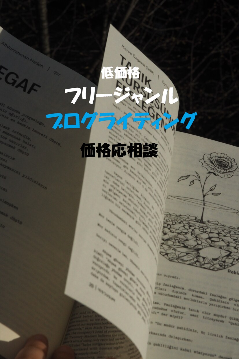 ジャンルフリーでブログ記事を書きます あらゆるジャンル対応！低価格で魅力的なブログ記事を作成します イメージ1