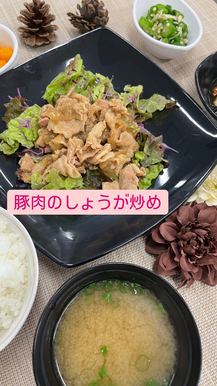 献立作成の悩みにお応えします 栄養士さんの悩み、主婦の悩み解決します イメージ2