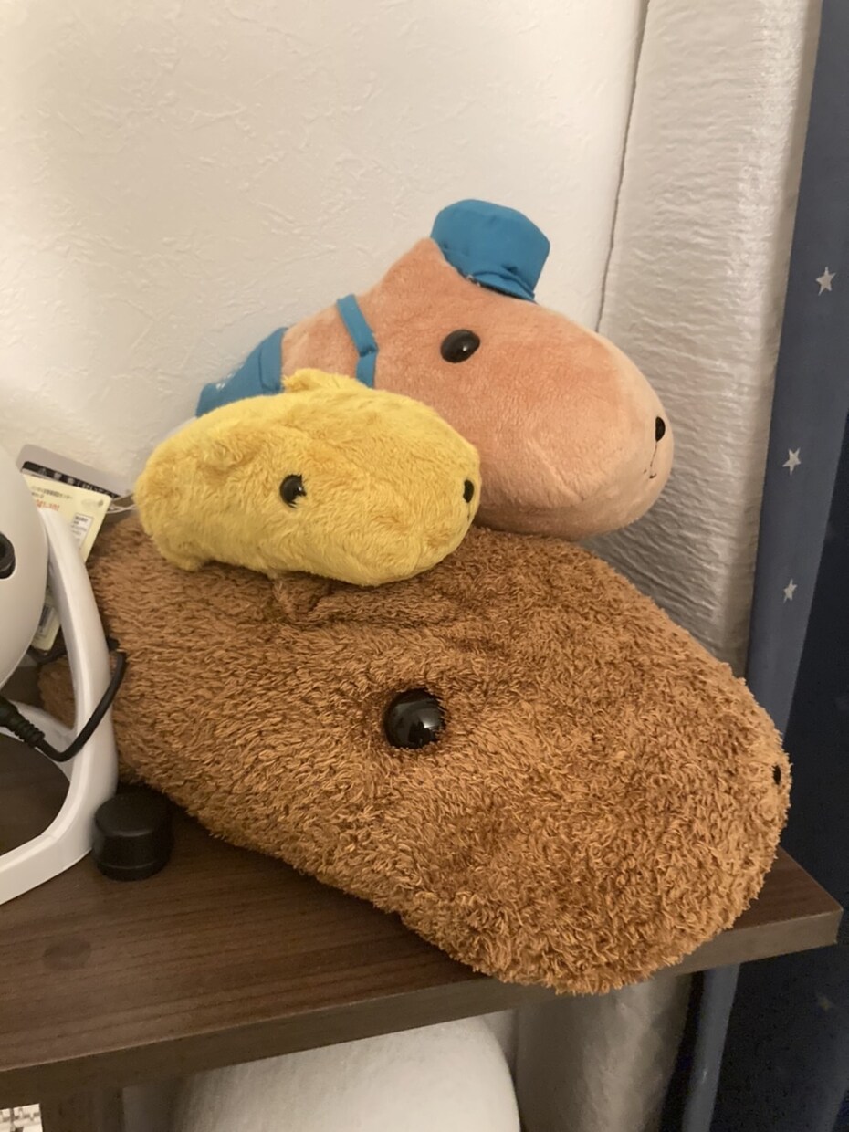介護についてのアドバイスをします 在宅介護をしている方で手助けを必要としている方へ イメージ1