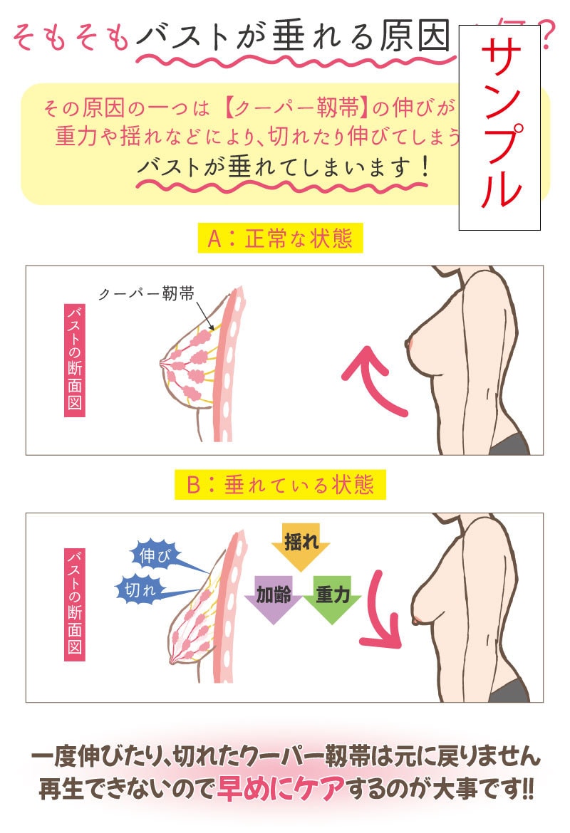 チラシの作成いたします ３件限定！チラシ格安で作成いたします！ イメージ3