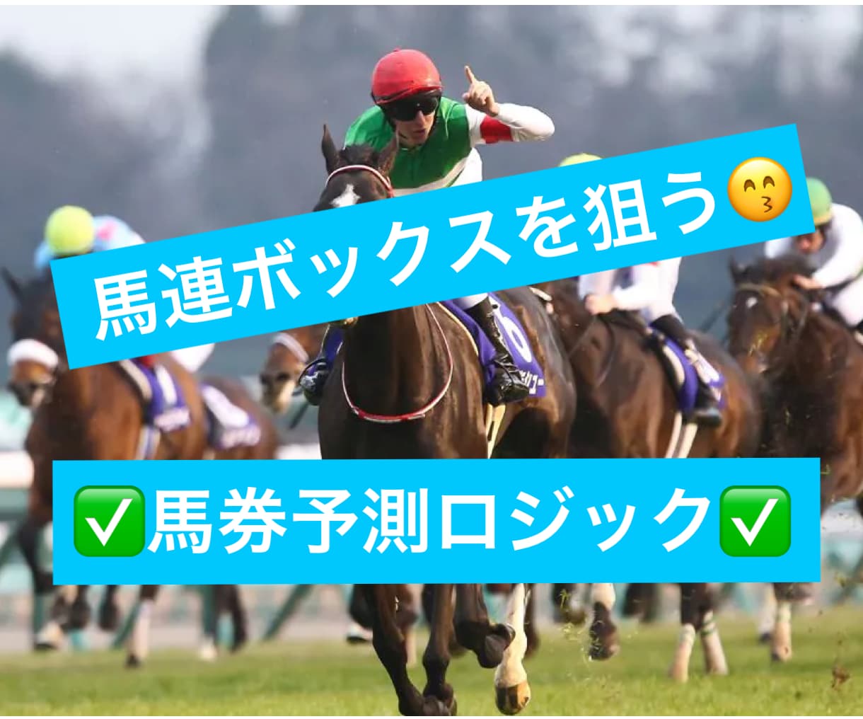 競馬・馬連ボックス手法教えます システマチックに買い目を出したい人必見です イメージ1
