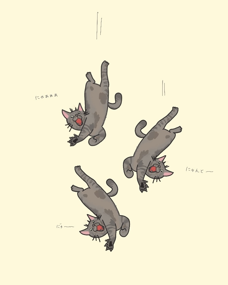 猫ちゃんのイラストを描いています イラストを通じて、皆さまを笑顔にしたいです。 イメージ3