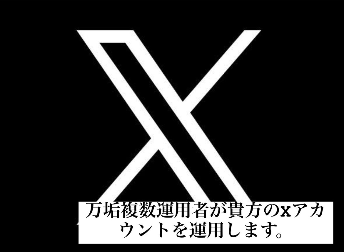 Xアカウント（旧Twitter）運用代行を行います 確かな実績と経験から、ご依頼者様のX運用をサポート致します。 イメージ1