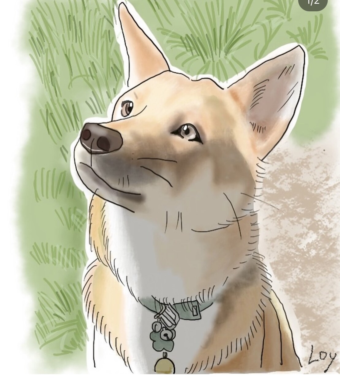 動物、人物、ペットの似顔絵作成します リアルで温かみのあるイラストを☆ イメージ9