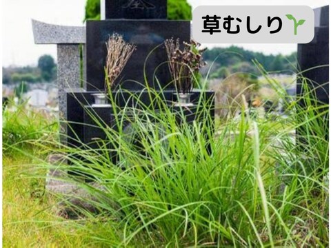 お墓参り代行　写真レポートが付きます 現地に赴き、帰った後チャットに結果を送信 イメージ3
