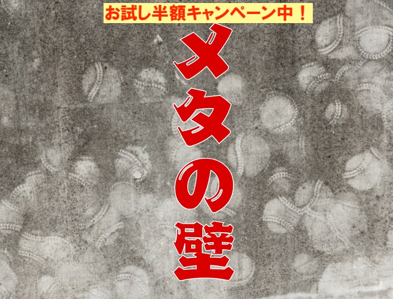 成長し続けたいあなたの「壁」になります 『メタの壁』- 自己認識を深めるインタビューコーチング イメージ1