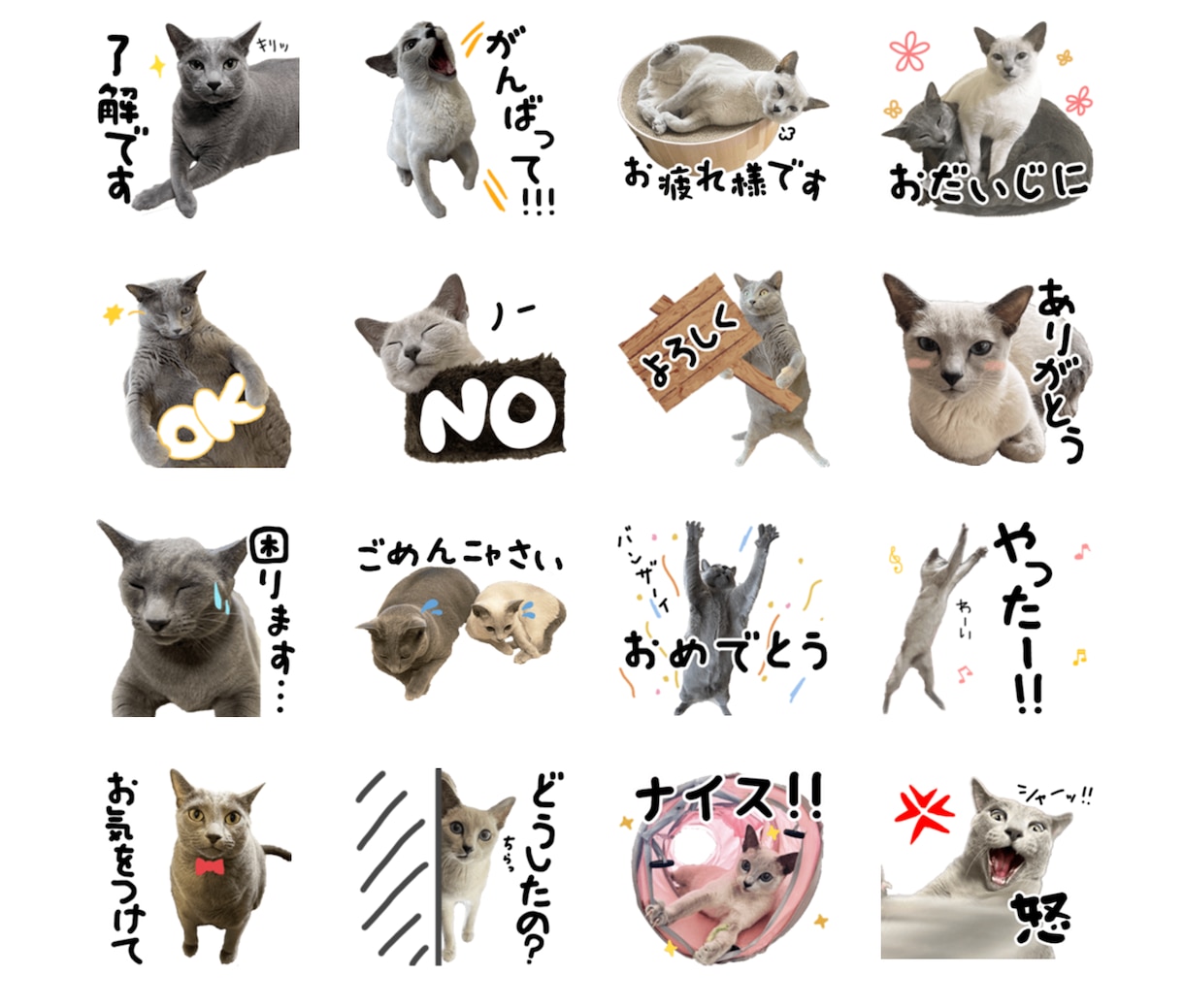 あなたの写真からラインスタンプを作成します ご家族やペットの写真をLINEスタンプにしませんか？ イメージ7