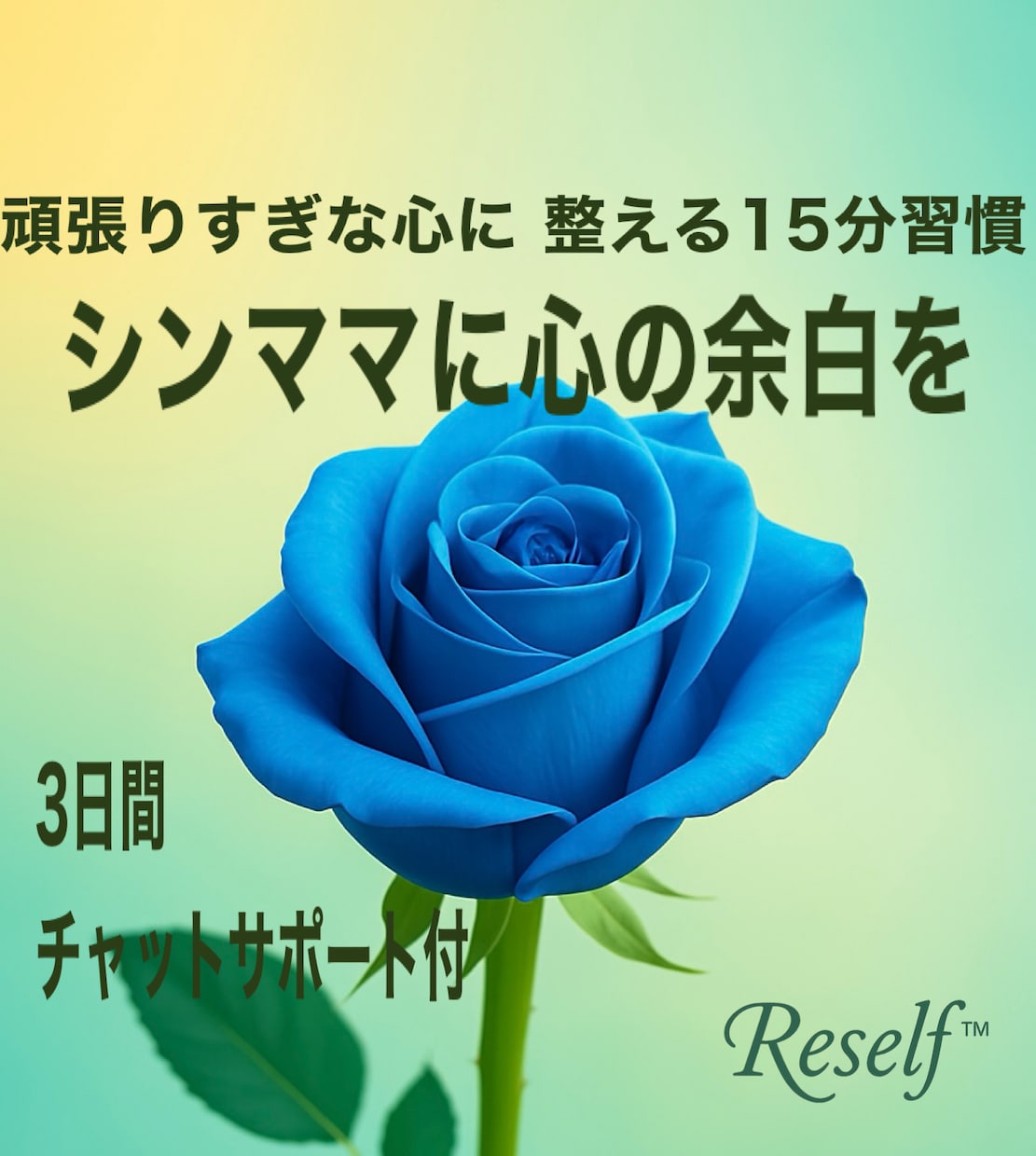 Reself™体験版｜心を整えるワークを届けます 頑張りすぎなシンママの心に 整える15分習慣 イメージ1