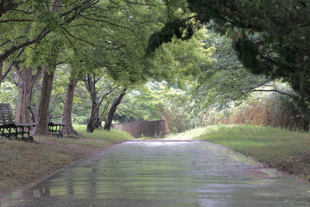 ご希望に添ったお写真をお届けします ご希望に添ったお写真をご提供させて頂きます！！ イメージ6