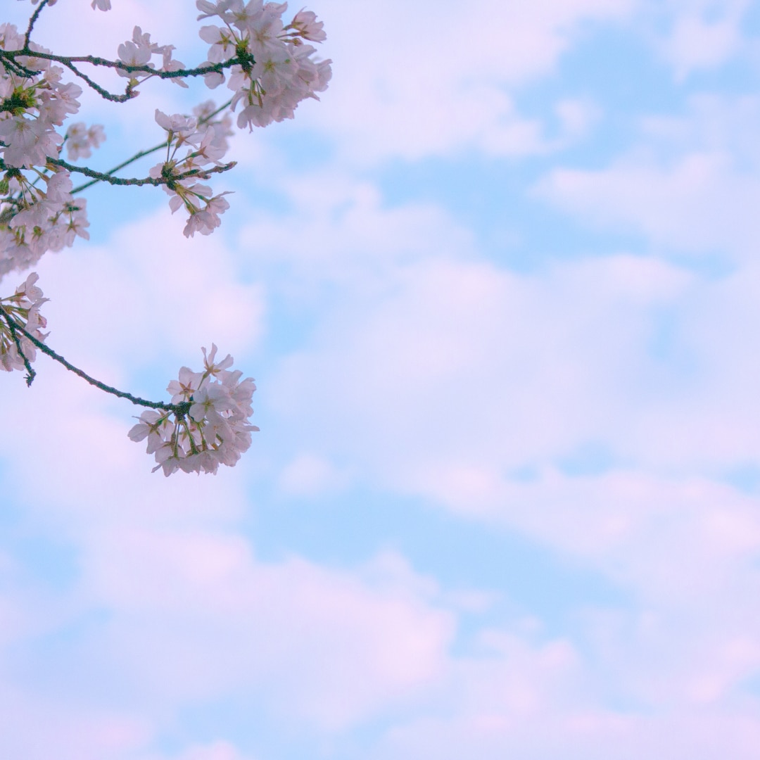 浮気中☘不倫中☘お聞きします 恋愛/失恋/復縁/不倫/浮気/片思い/愚痴/不満 イメージ8