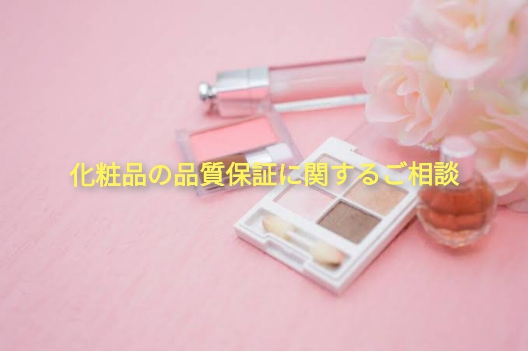 薬事・GMP対応！化粧品の品質相談いたします ★エクセルを使った品質保証システムを提案いたします イメージ1