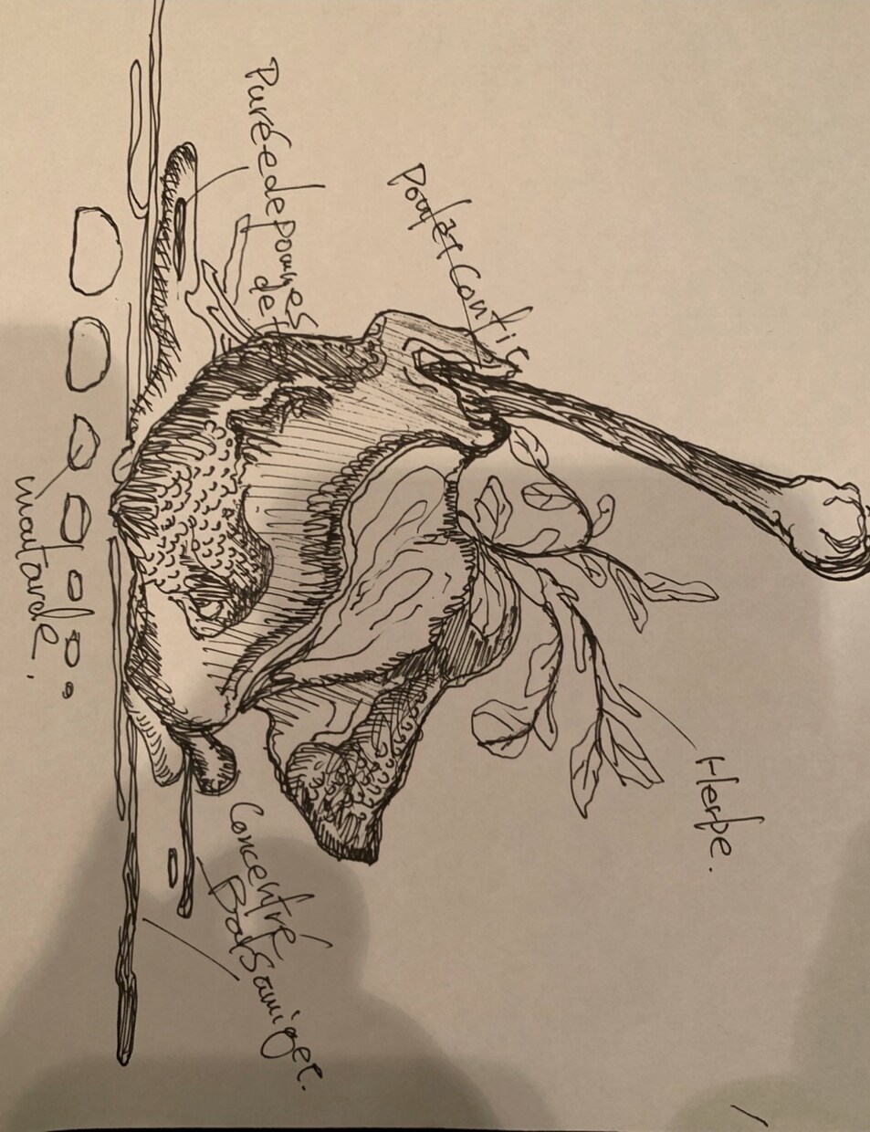 あなたの料理をオリジナルイラストにしますます メニュー・ロゴ・ポスター等に個性あふれるオリジナルデザインを イメージ2