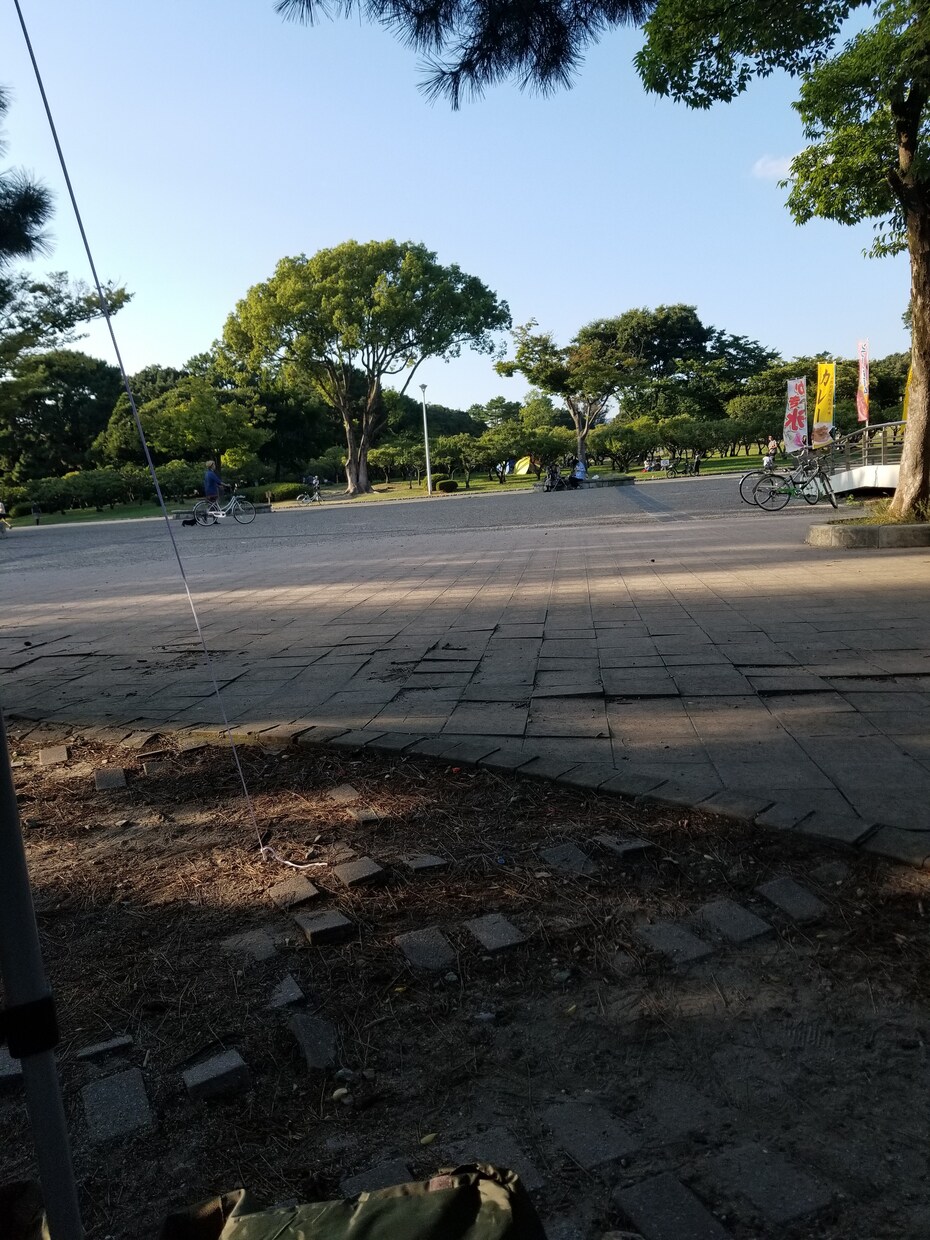 独り暮らしの、孤独な人、何でもききます 現代の淋しい人、孤独な人、いつでも、待ってます。 イメージ2