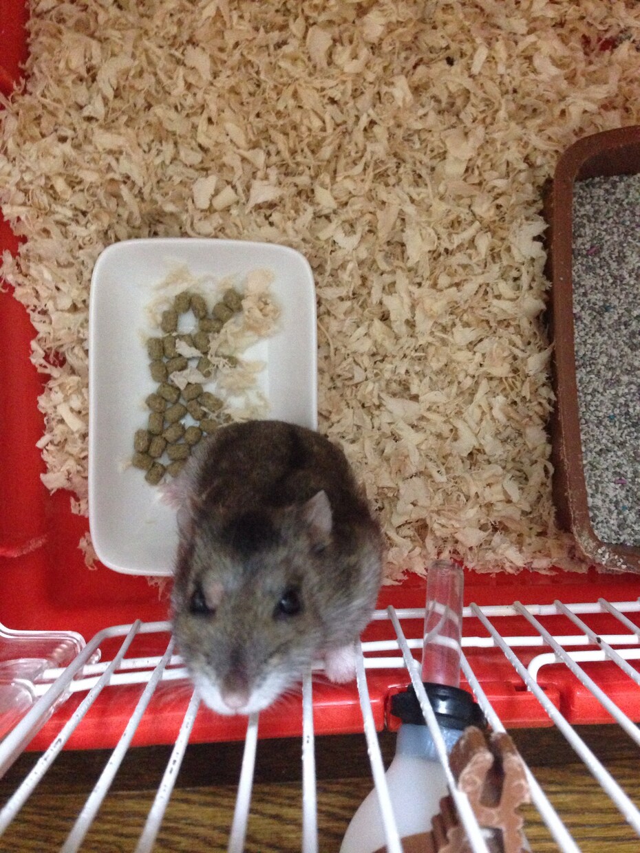 暇潰しにどうぞ♩今日あった事でも何でも聞きます(^.^)聞かせてください(^○^) イメージ2