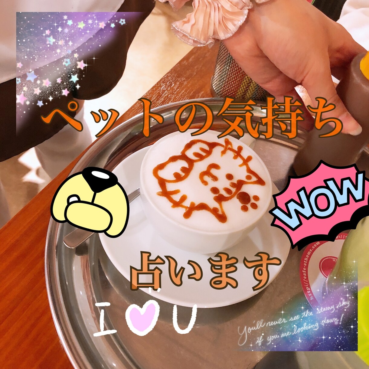 知りたい！ペットの気持ち占います 家族の一員である あの子の気持ちが知りたい方へ イメージ1