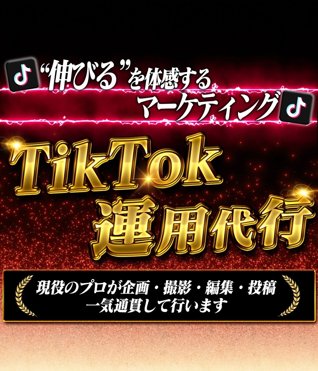 実績豊富!!50万人の私が運用代行します 初心者でも安心!!現役プロがTikTok完全運用サポート!! イメージ1