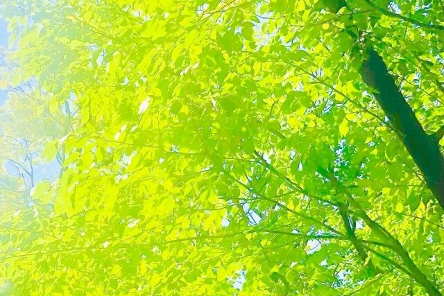 ワンコインで貴方の道が開く！メッセージお伝えします お悩み・金運を上げたい・恋愛・これからの人生等をご相談下さい イメージ3