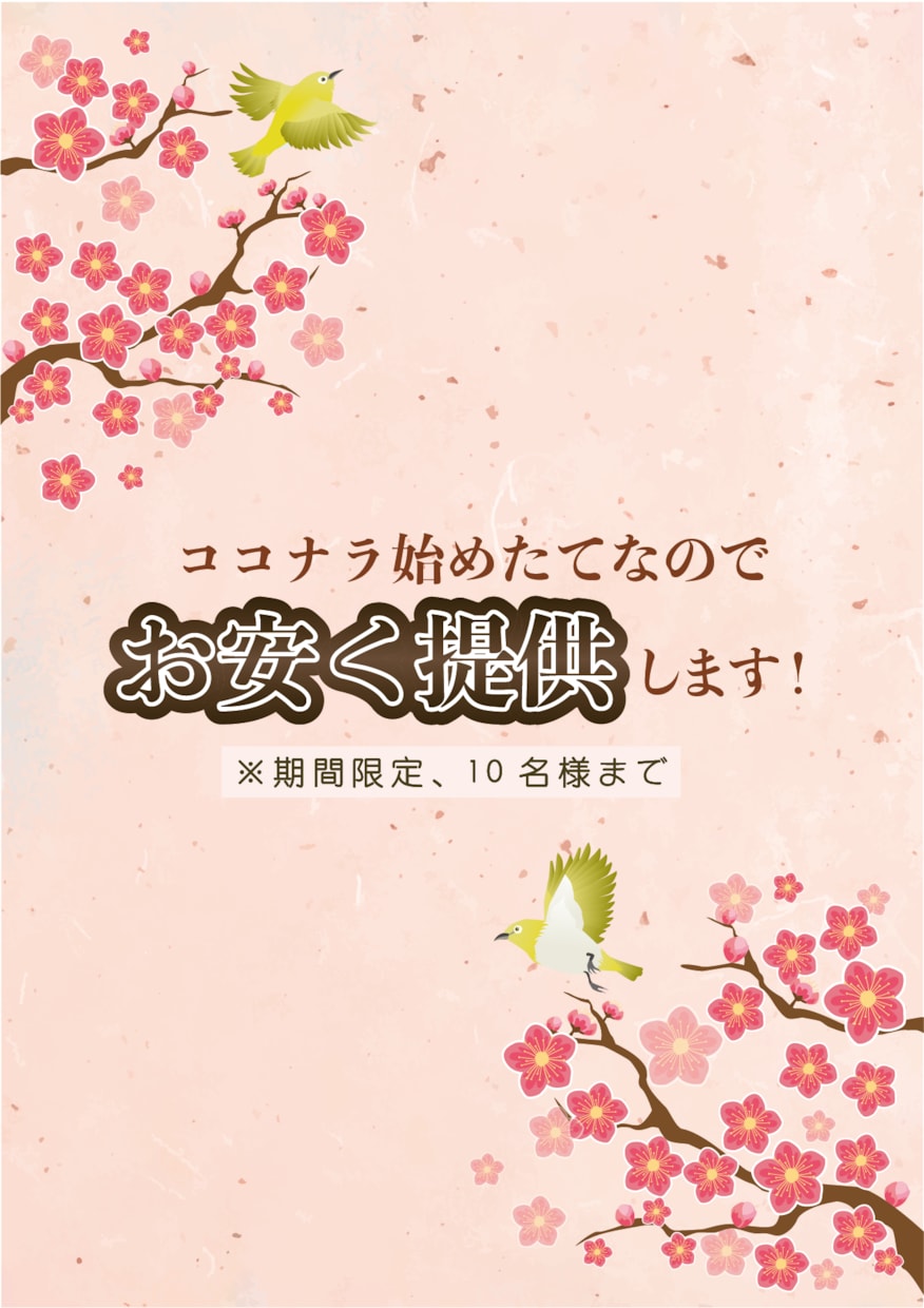 ココナラ始めたての為お安く提供します 期間限定10名様まで！チラシ制作の経験豊富です！ イメージ1