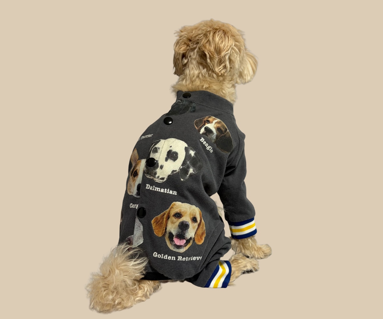 捨てられない洋服を愛犬用ロンパースへリメイクします 大好きな匂いでホッとする。思い出の服を愛犬のお気に入りに。 イメージ2