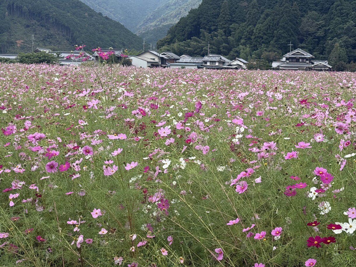 どんなお話でも聞きます 悩んでることやただ聞いてほしことだけでもいいです イメージ1