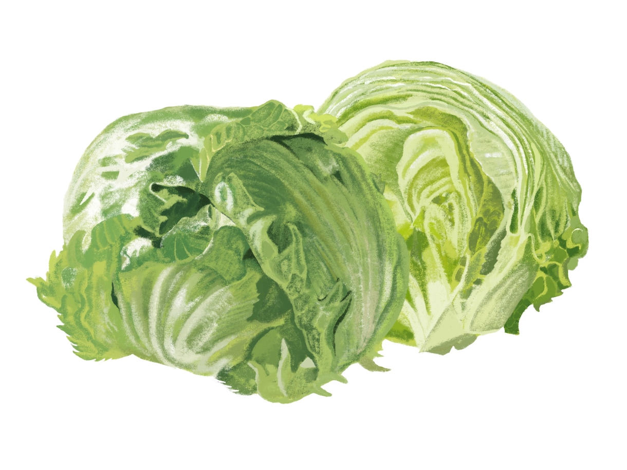 新鮮な野菜果物イラスト｜温かいタッチで制作します レシピ本・メニュー・パッケージ用食品イラストを制作します イメージ3