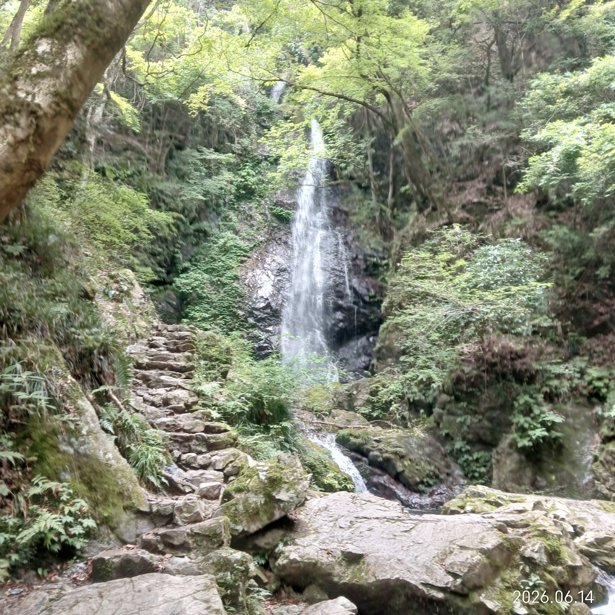 副業も含めて、現実的な仕事の悩み相談にのります 仕事の相談、深堀りして相談したい方、どうぞ。 イメージ10