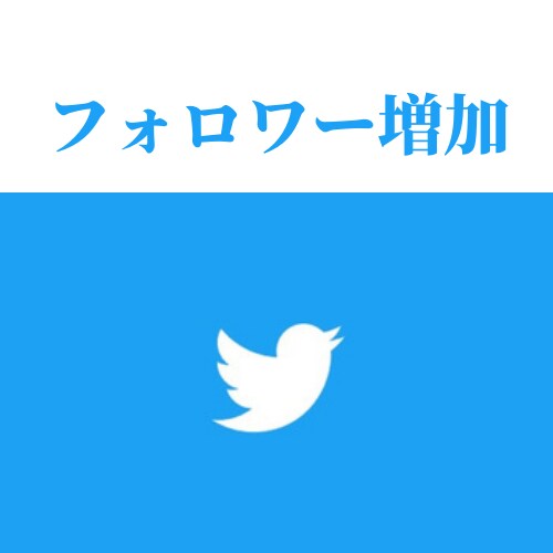 Twitterフォロワー数+200まで宣伝します ツイッターを拡散して、200フォロワー以上増やします！ イメージ1