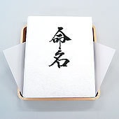 姓名判断　姓名鑑定　運勢　赤ちゃん　鑑定致します 姓名判断　子供の名前鑑定　画数　自身の名前の画数を変える イメージ1