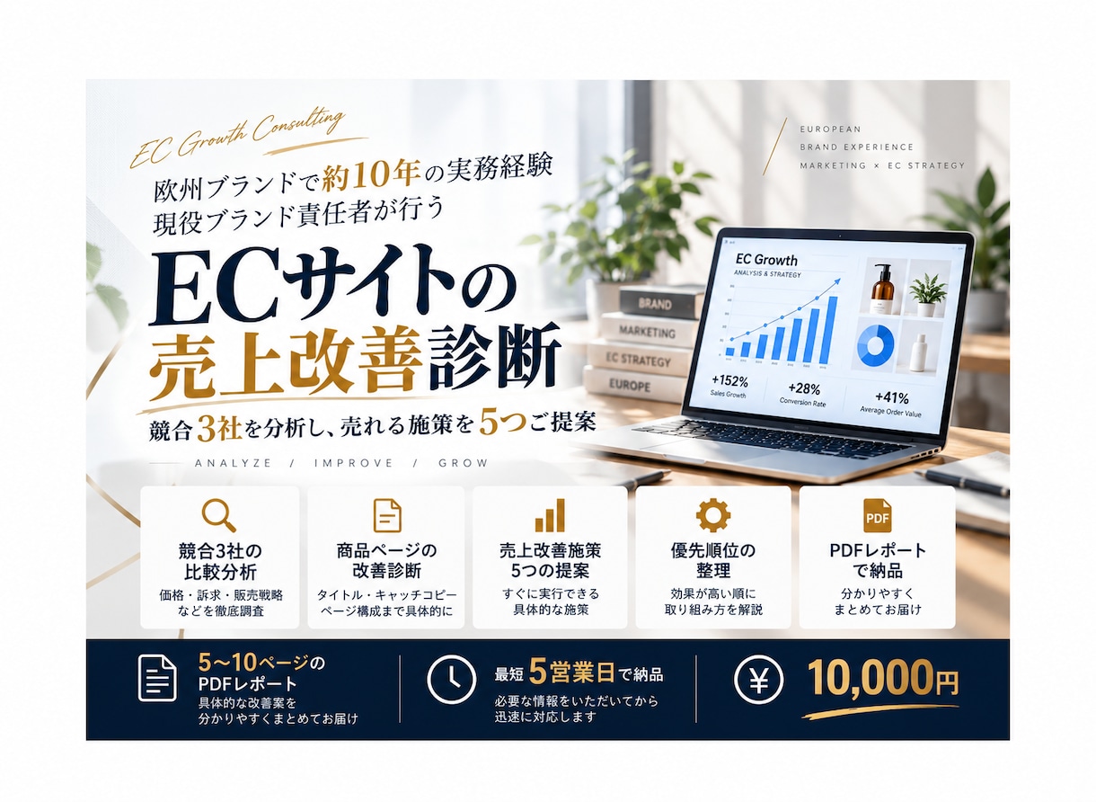 EC売上改善を現役ブランド責任者が提案します 欧州ブランドで約10年、売上回復を実現した実務経験 イメージ1