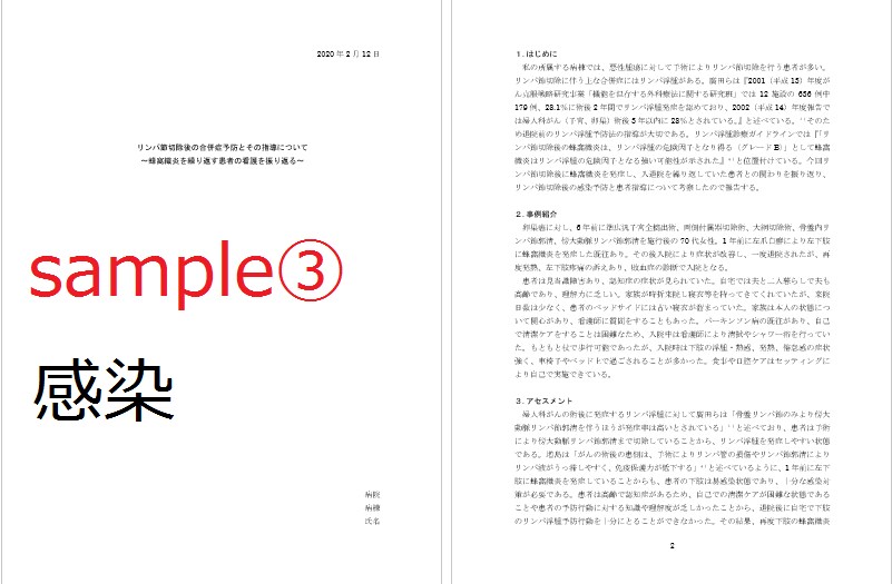 看護の資料作成！ケースレポートの作成を手伝います すぐ書き出せる！様式・書き方・実際の例をまとめてお送りします イメージ7